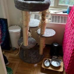 Free cat tree