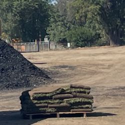 Fresh  Sod $3 Per Sq/ Ft