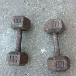 Dumbbells 20 Lbs 