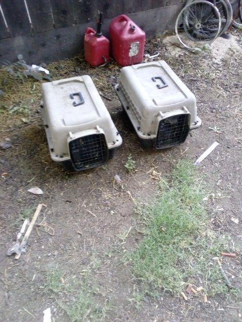 Small Animal Crates