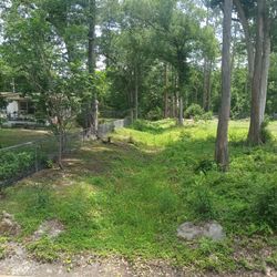 Small Land (20' x 170')To Garden, For Sale