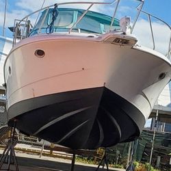 boat silverton 31 ft 97 more of 25.000 invest new upholstery and trailer 2023 