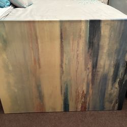 Large Picture Canvas