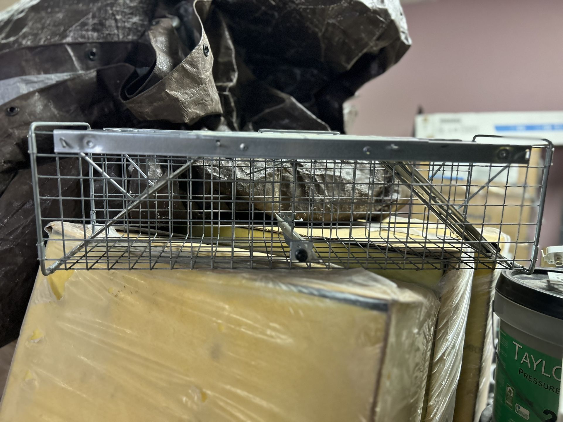 3 Small Animal Traps