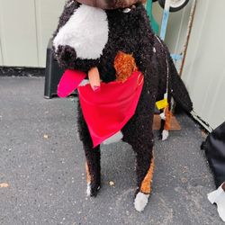 Large Outdoor Light Up Dog