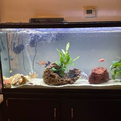 Fish Tank 75 Gallons 