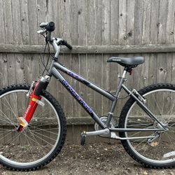 Like New Raleigh M30 21 speeds mountain bike