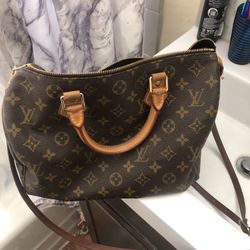 Louis Vuitton Purse