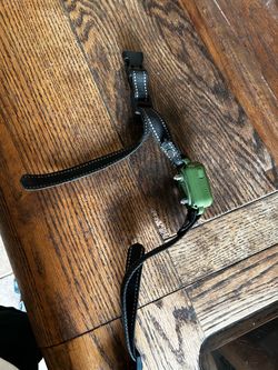 Dog Shock Collar