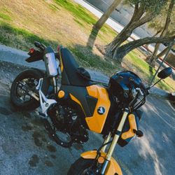 Honda Grom 2015 