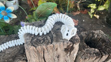 3-D print skeleton snake