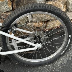 Rockrider 20” Kids Bike