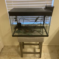 20 Gallon Aquarium