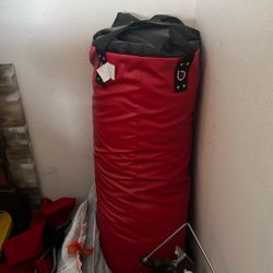 Century Boxing Bag