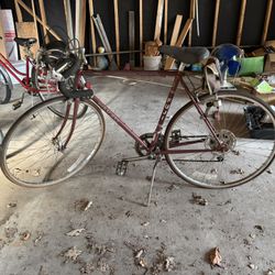Fuji Sagres Vintage Bicycle 