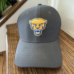 Nike Gray Cap with Pitt Panther Logo