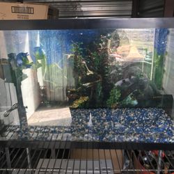 Fish Tank 