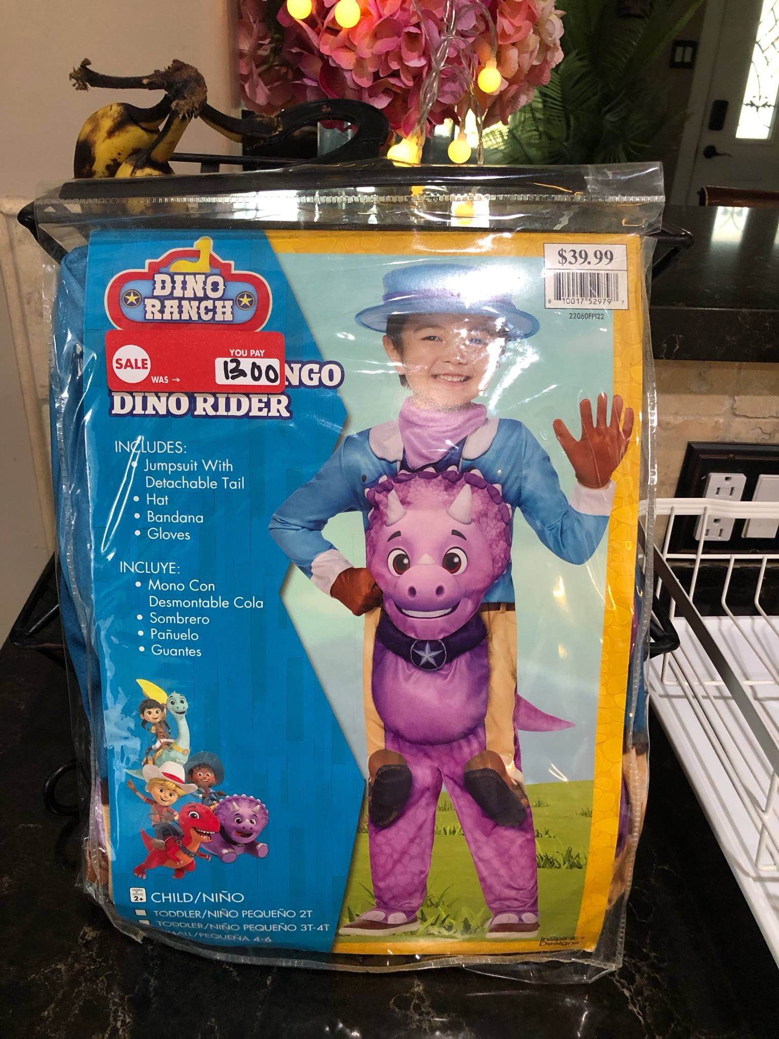 Dino Ranch Miguel Tango Dino Rider Costume Toddler 4/6 New in Package
