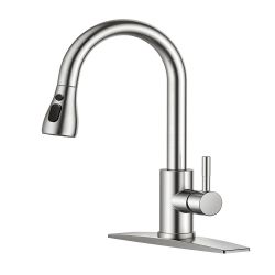 FORIOUS Kitchen Faucets With Pull Down Sprayer, Stainless Steel Kitchen Sink