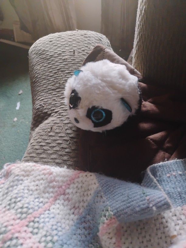 2021 TY Puffies BAMBOO the Panda (4 Inch) Stuffed Puff Ball Plush Toy