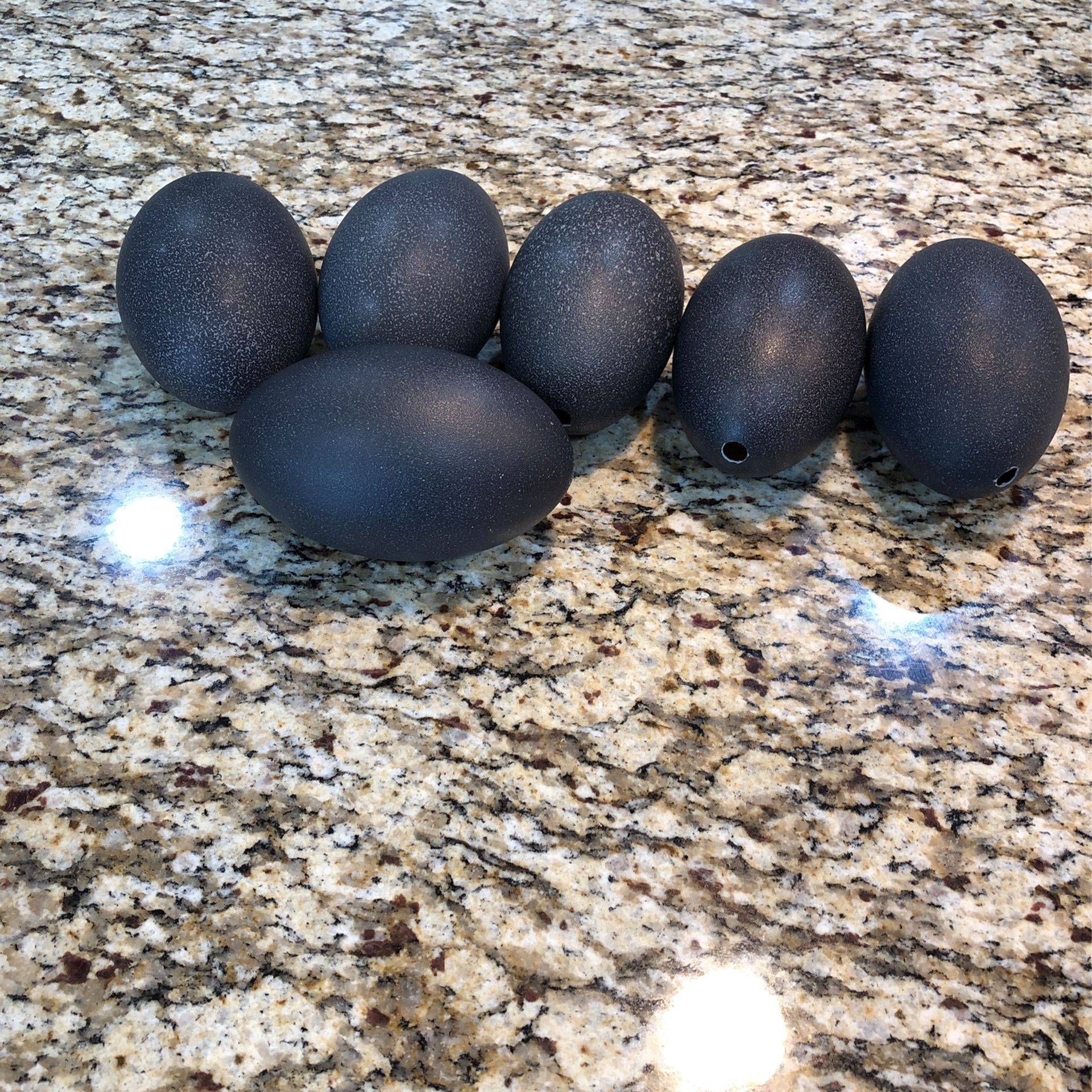 Emu Eggs Shell For Painting On