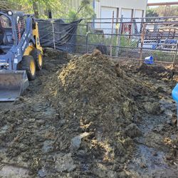 Steer Manure Free