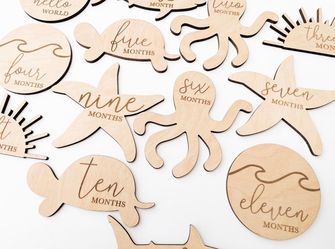 Baby Monthly Milestone Wooden Discs