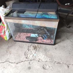 30 Gallon Fish Tank W/ Everything Included
