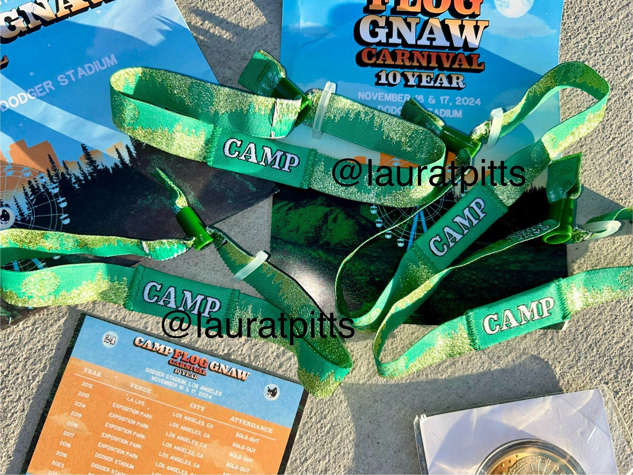 CAMP FLOG GNAW general admission (GA) wristbands