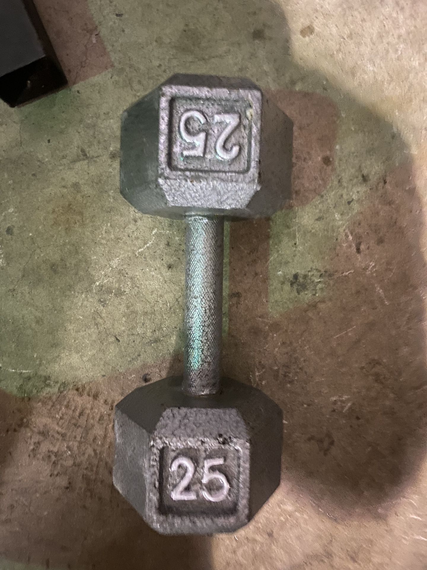 Single 25 Pound Steel Dumbell