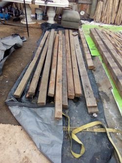 3 To 8 Ft Bamboo Bundles