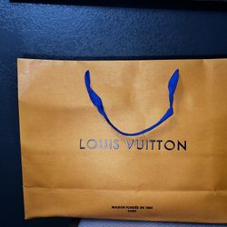 Louis Vuitton Side Bag (almost New)