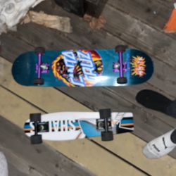 Skate  Board Penny Board 