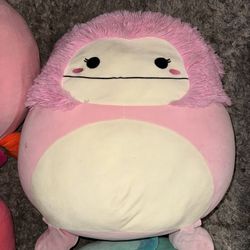 Big Squishmallows