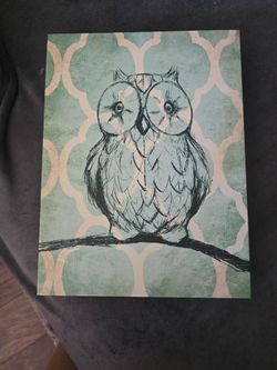 Owl picture