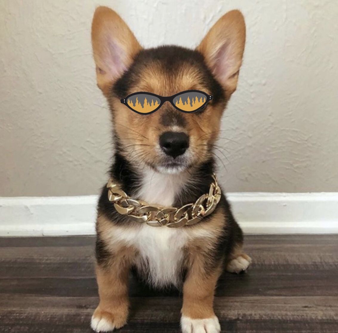 Dog collar chain