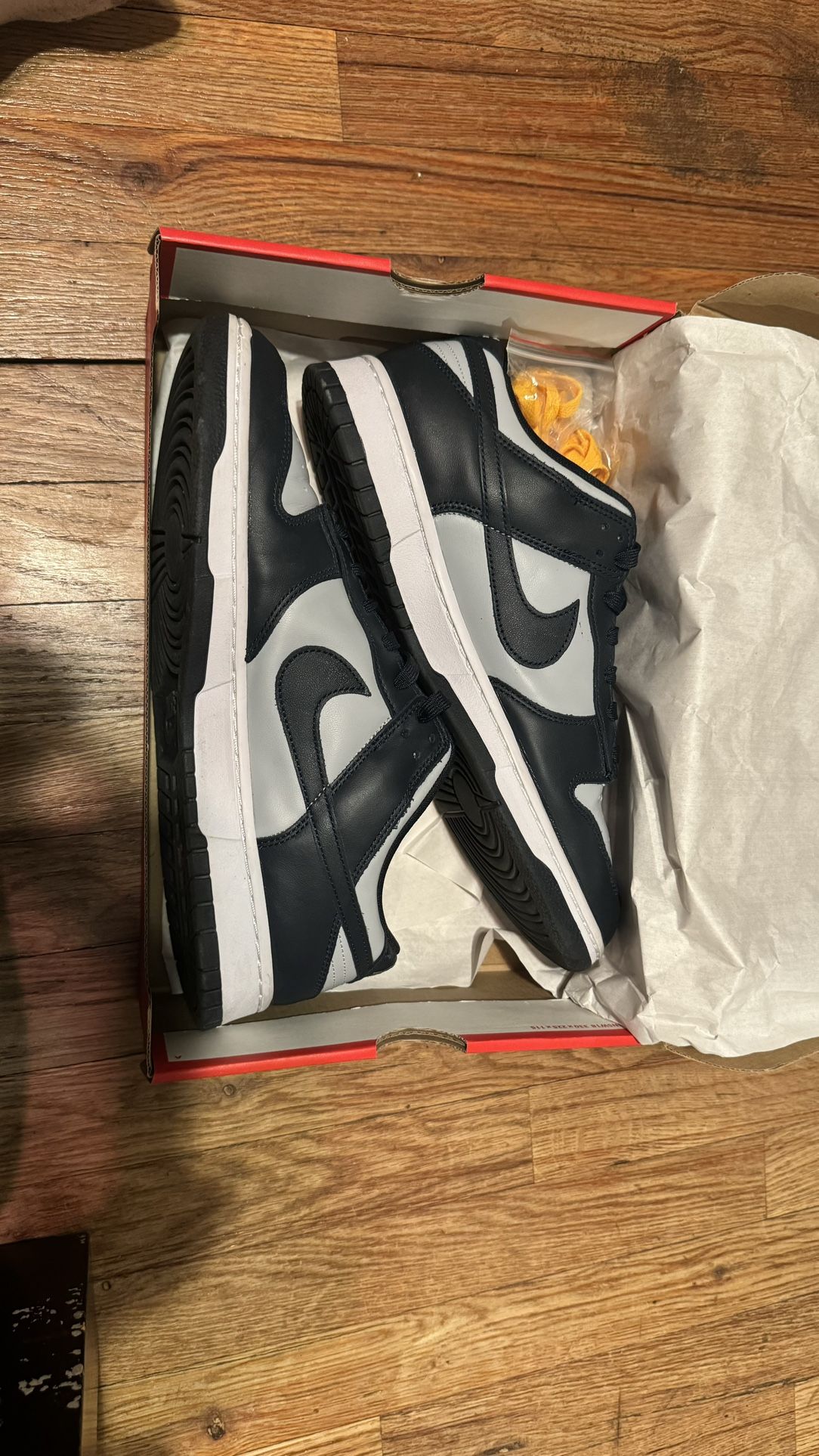 Nike Georgetown Low Dunks