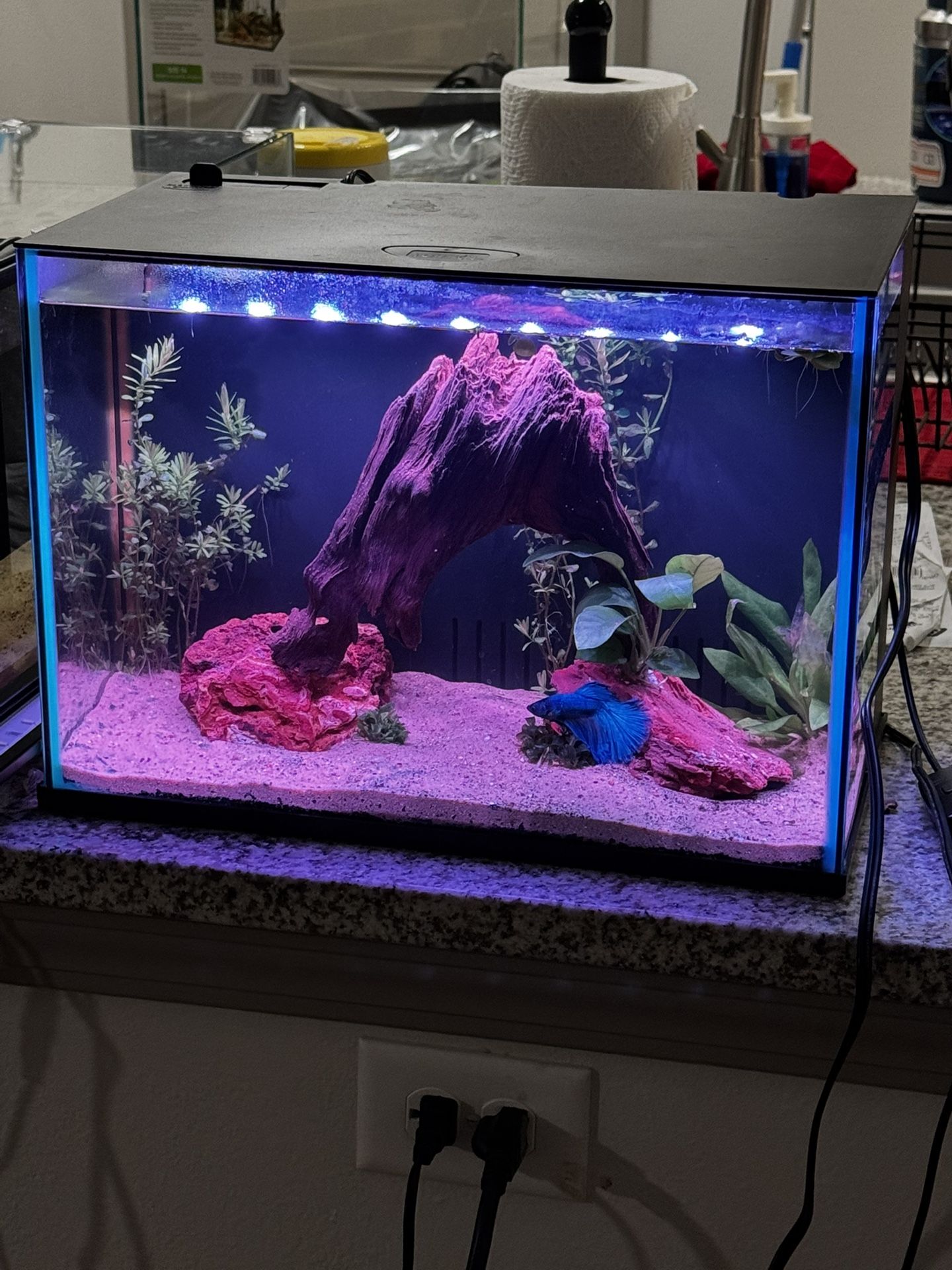 Fish Tank
