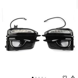 Dog Lights For Infinity See Pics 