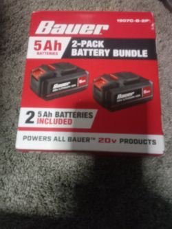 BAUER 20V 5 Ah High-Capacity Lithium-Ion Battery 2 Pack