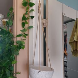 New Speckled Hanging Planter