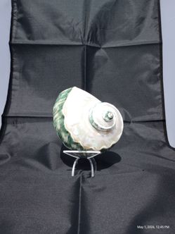 Jade Turbo Shell - large