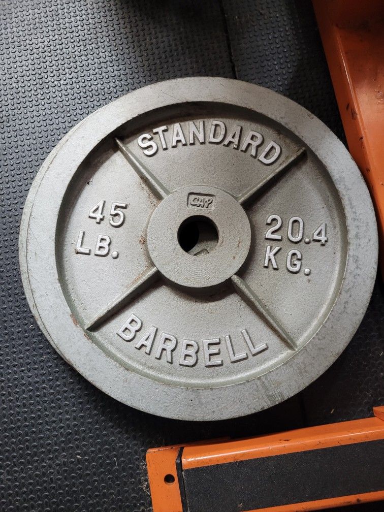 Exercise Olympic Weights 45lbs X 2