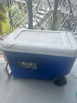 38 Quart Igloo Cooler (with wheels)