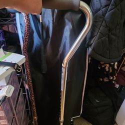 Walking Cane  Gray 