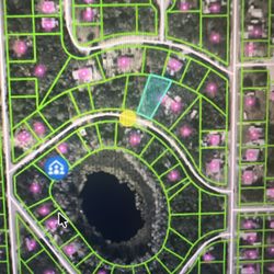 Land For Sale 0,27 Acres In Pasco County