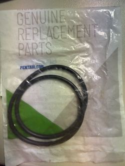 Pentair tank oring