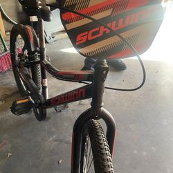 Schwinn Boy Bike