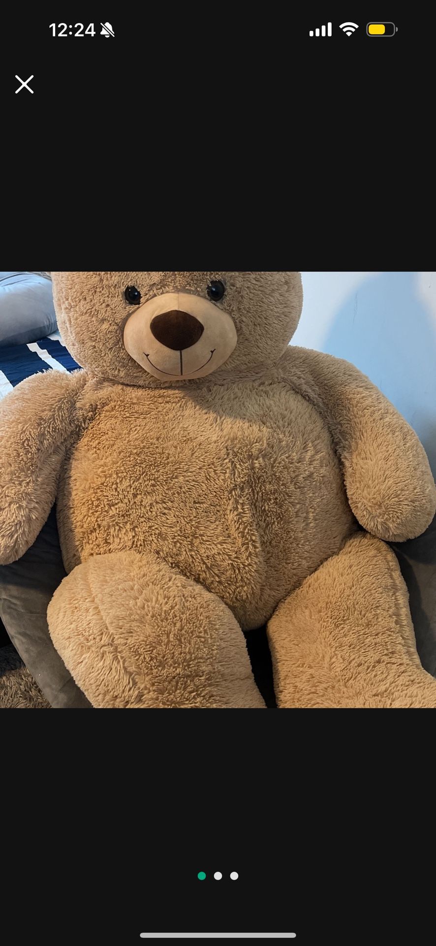 Giant Teddy bear