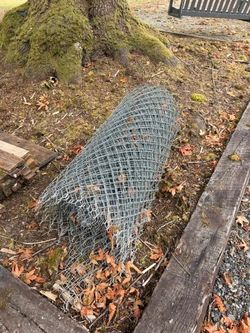 Chain Link Fence - 4'x65' Roll